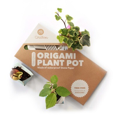 Kit de plantare cu 3 ghivece Origami - Clasic