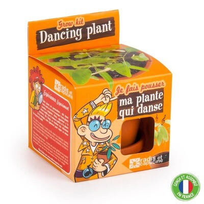 Kit de Plantat cu Ghiveci - Planta Dansatoare