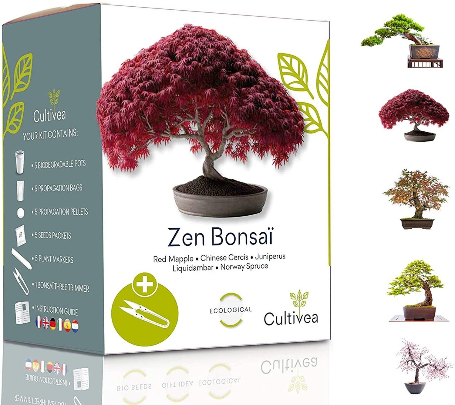 Kit de plantare - 5 Tipuri de Bonsai