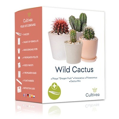 Kit de plantat - 4 Tipuri de Cactus