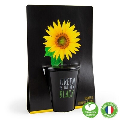 Ghiveci cu seminte de Floarea-Soarelui - "Green is the new black"