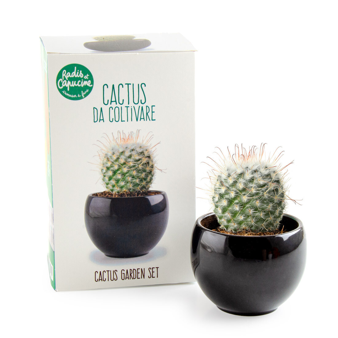 Kit de plantare Cactus