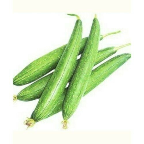 Sponge gourd (gilki)