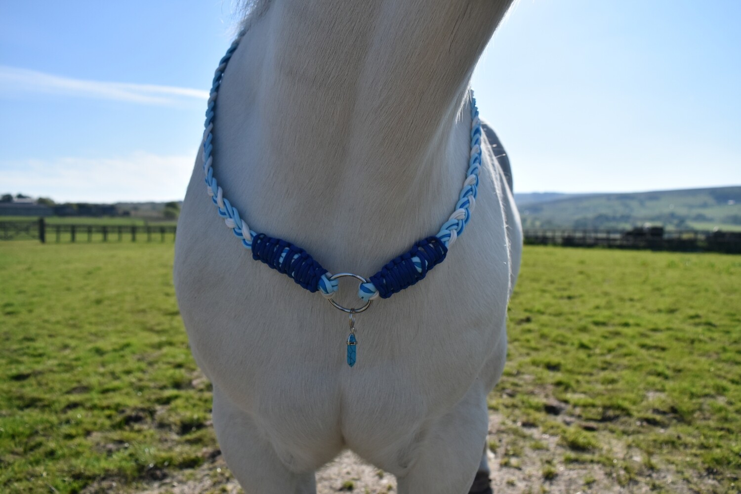 Paracord Neckrope with Ring - Custom Made