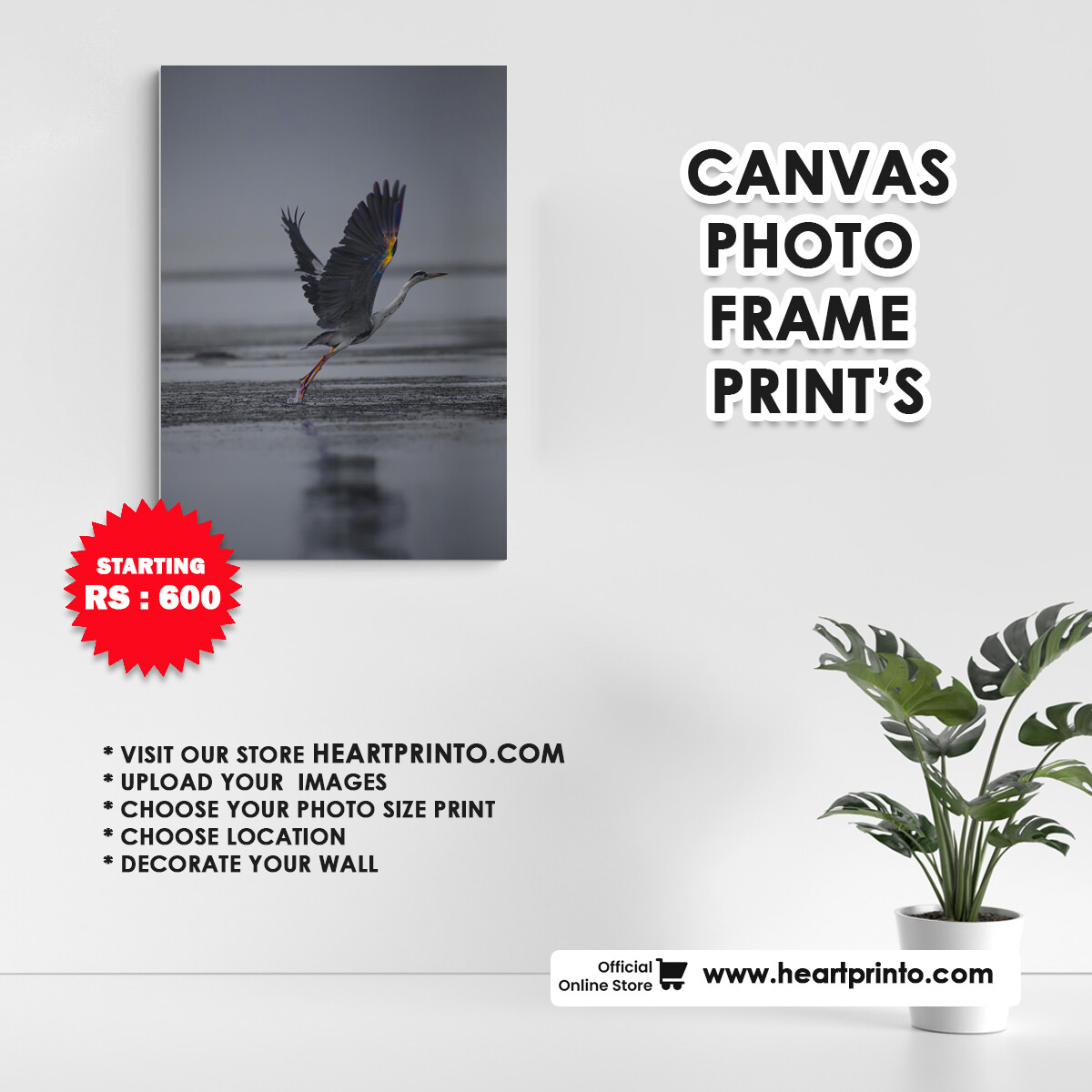 Framed Canvas &amp; Print