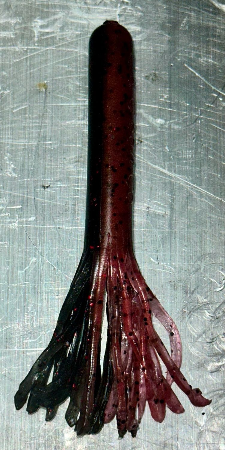 Tube Bait, Champagne 