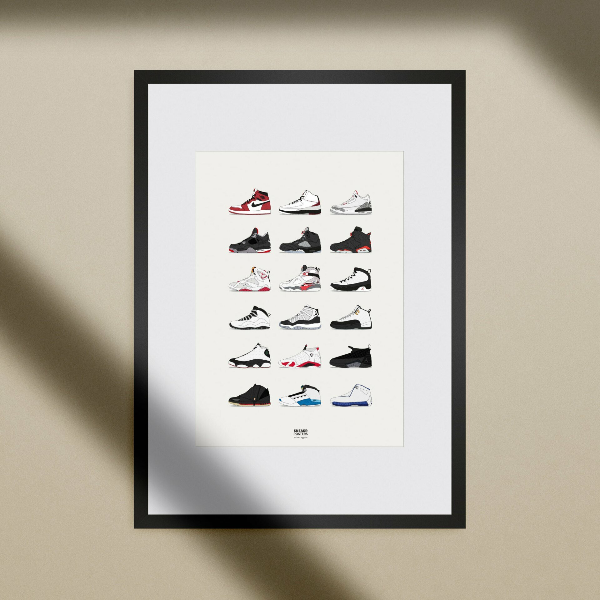 Jordans Career Poster - The last dance