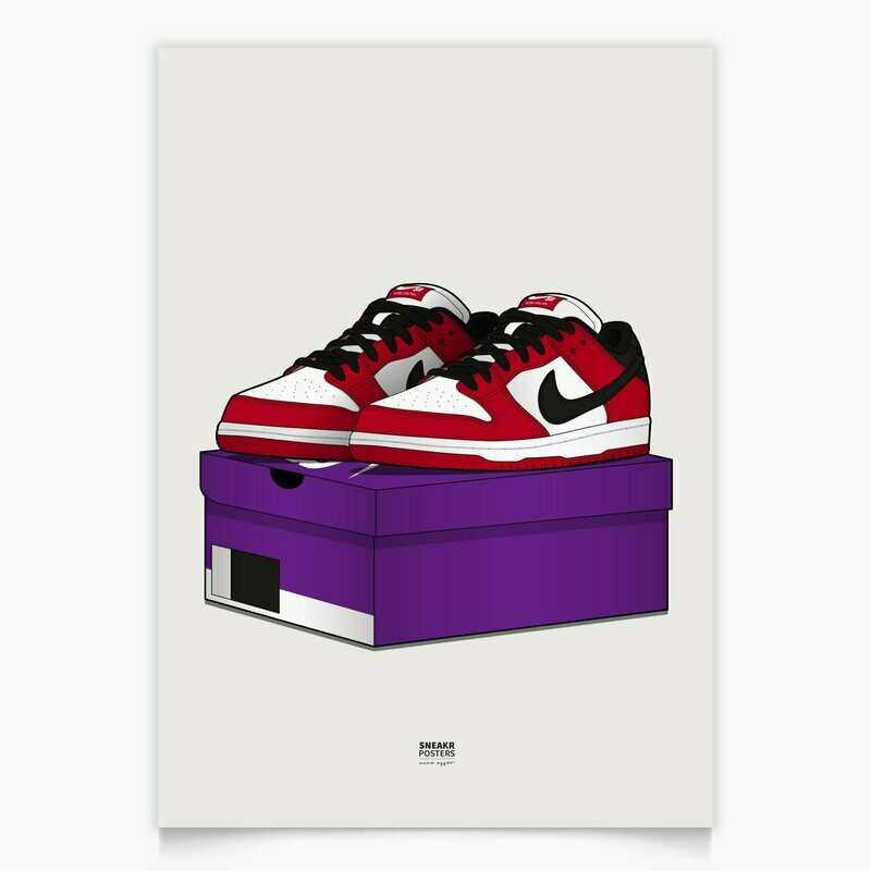 SB Dunk Chicago Shoebox Pair