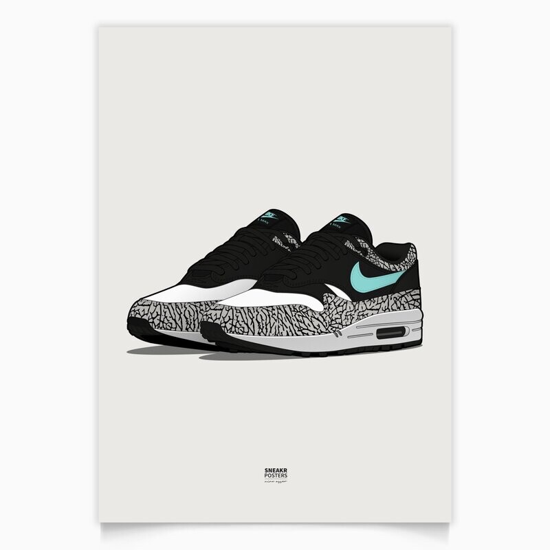 Air Max 1 Atmos Elephant Pair