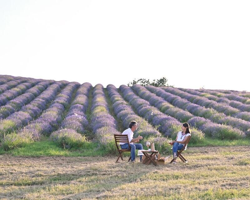 La Lavanda