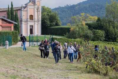 WINE TREKKING