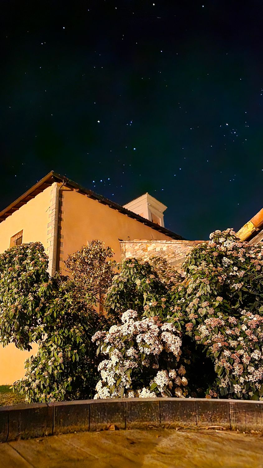 Notte di stelle e calici