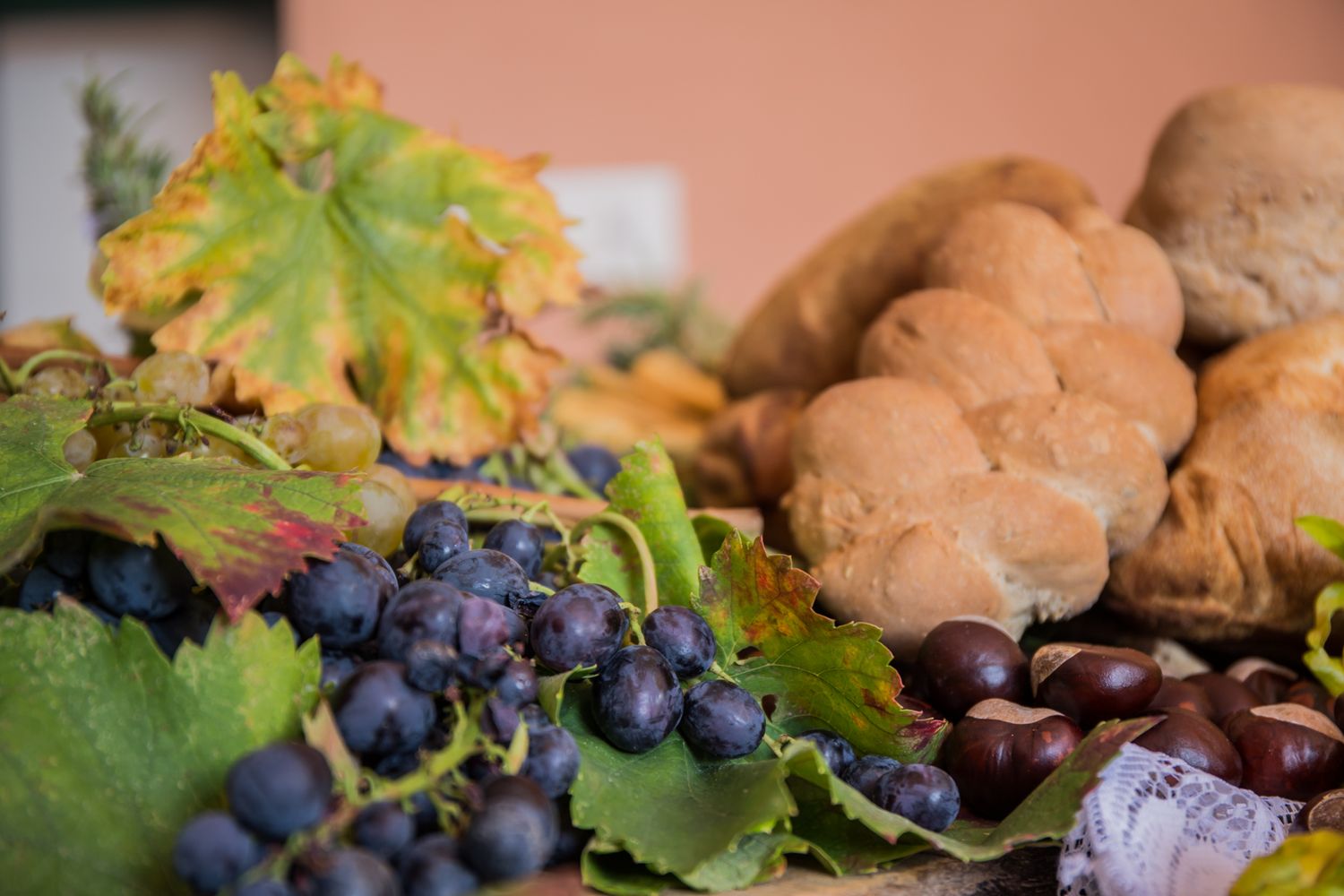 Visita &amp; Degusta