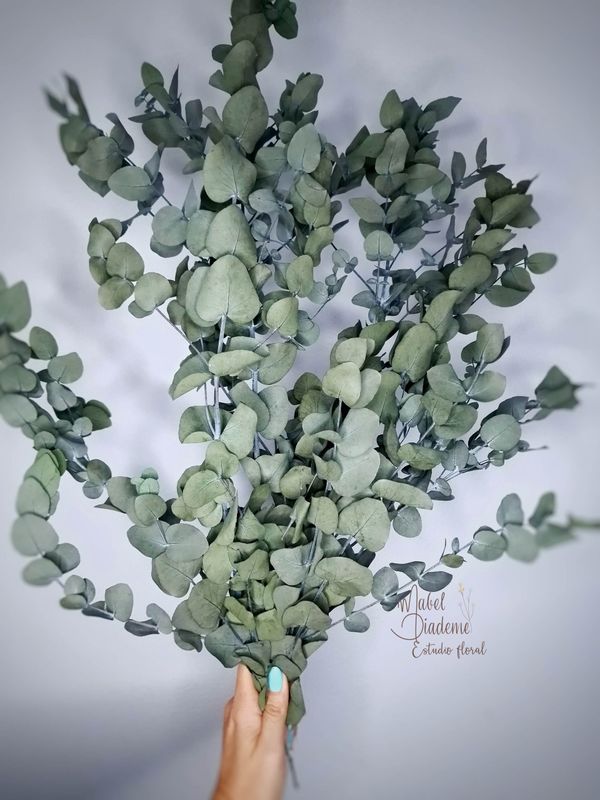 Ramos para decorar flores preservadas