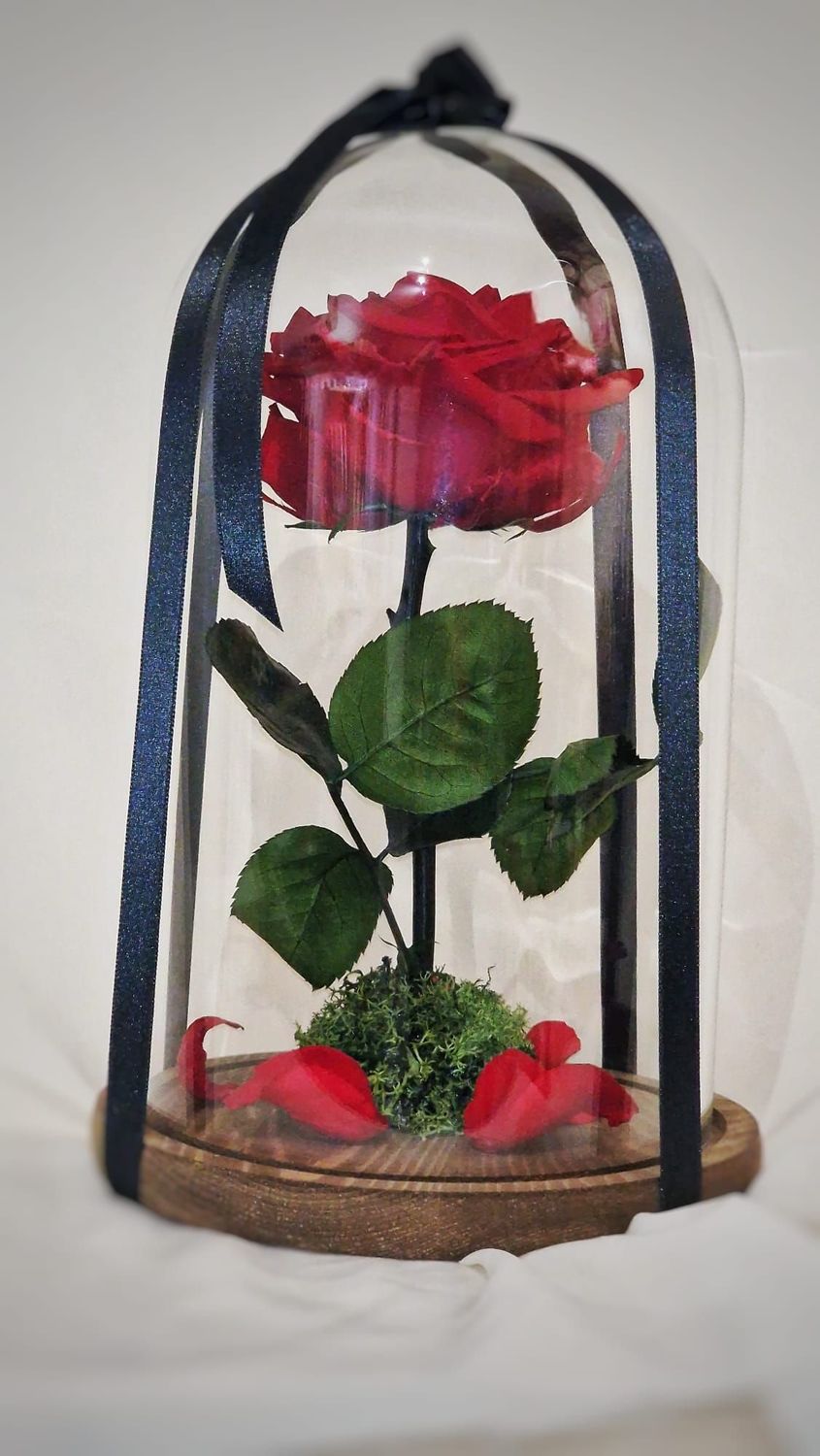 Rosa Eterna en cúpula de cristal Bella y Bestia