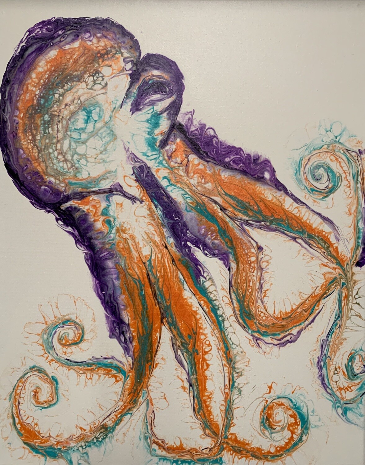 Octopus