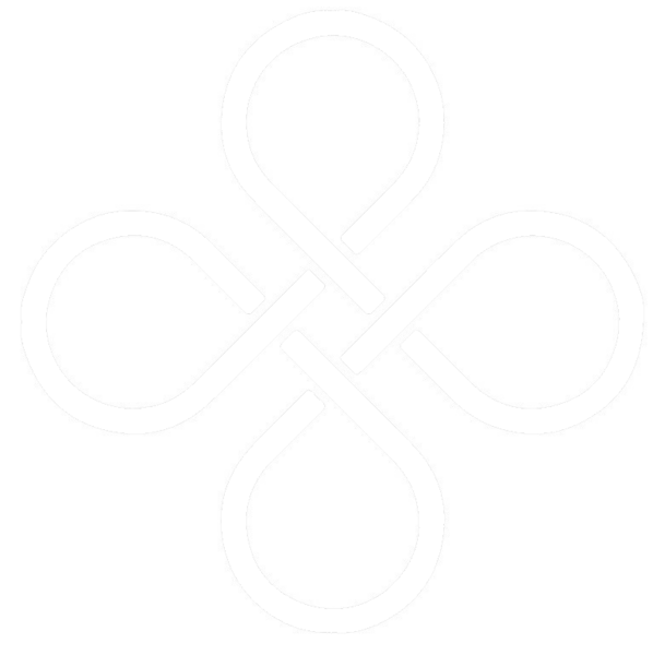 INFINITE LOOP