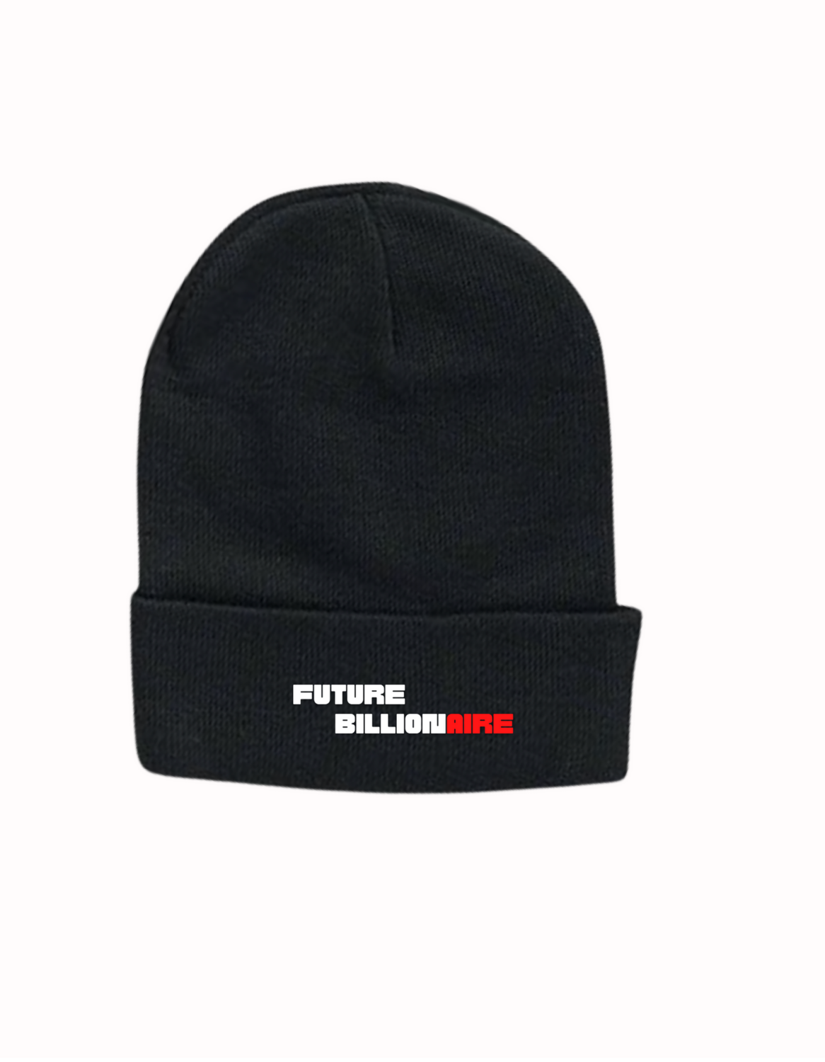 Future Billionaire Signature Embroidered Skullie