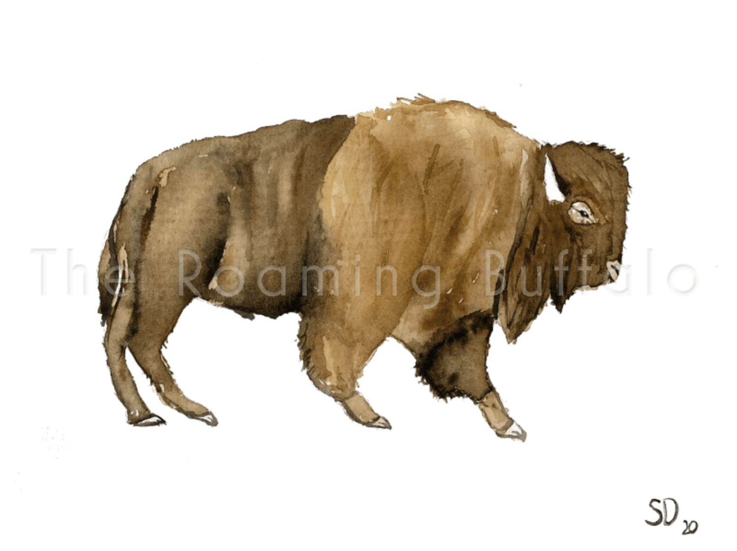 "Fleuve" Water Buffalo