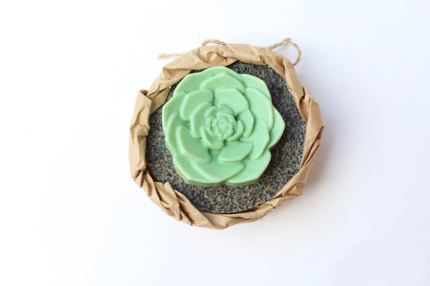 Mini Succulent