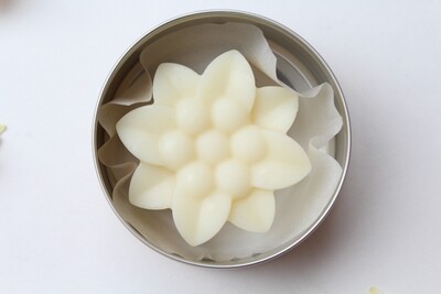 Lotion Bar Fragrance Free