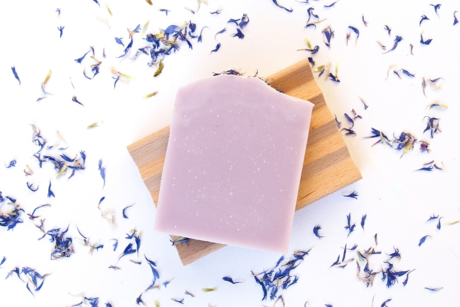 Purple Lavender Flower