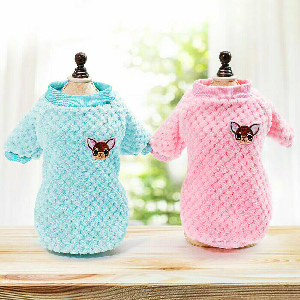 chiuahua jumper