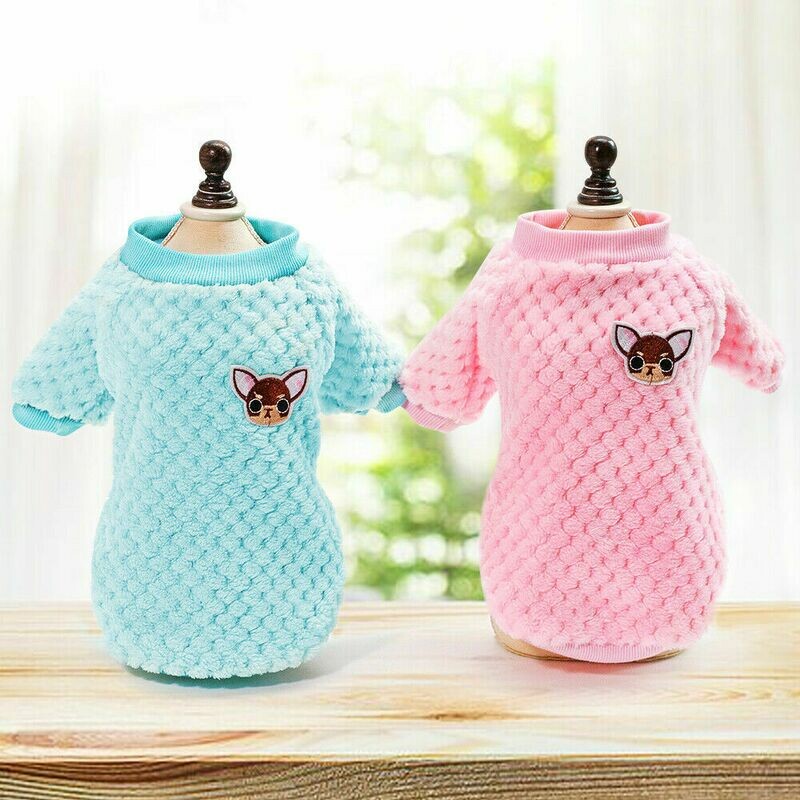 chiuahua jumper