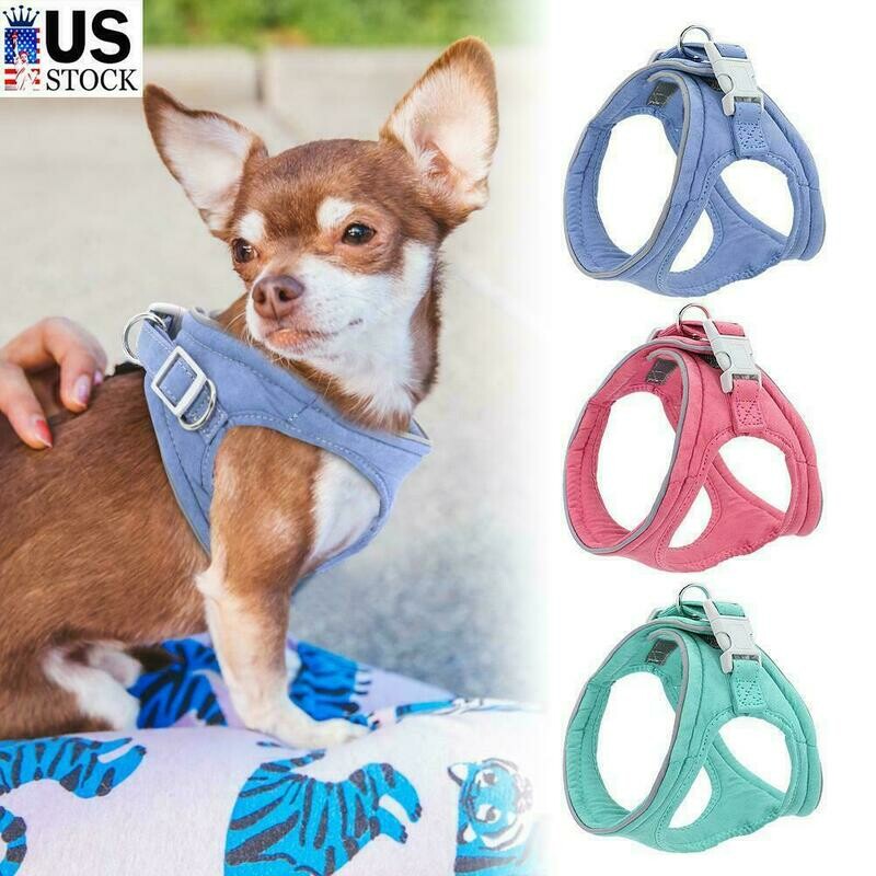 Fabric harness