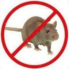 Rodent Control Management