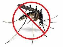 Mosquito Control Management