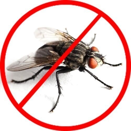 Fly Control Management