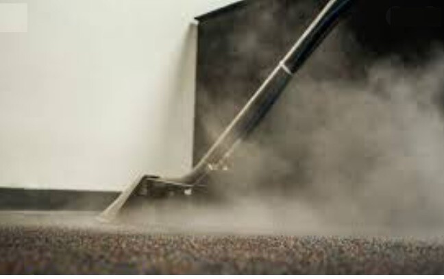 Specialized Carpet Pest Control Treatment