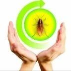 Indo Bhutan Pest Control