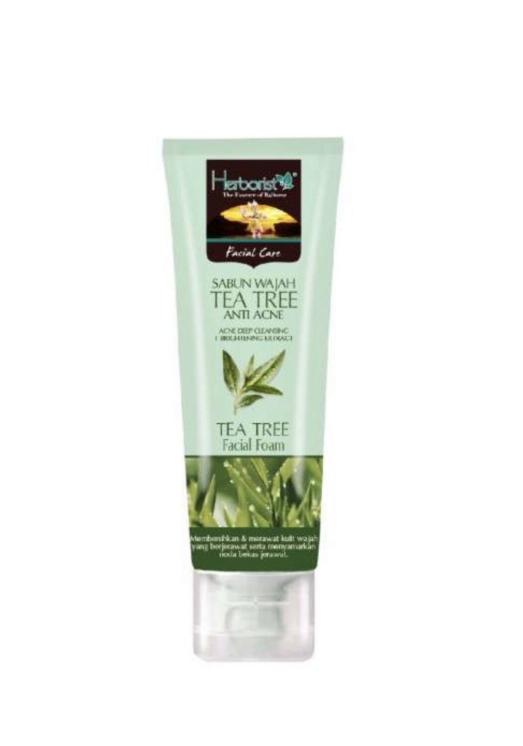 tea tree face foam