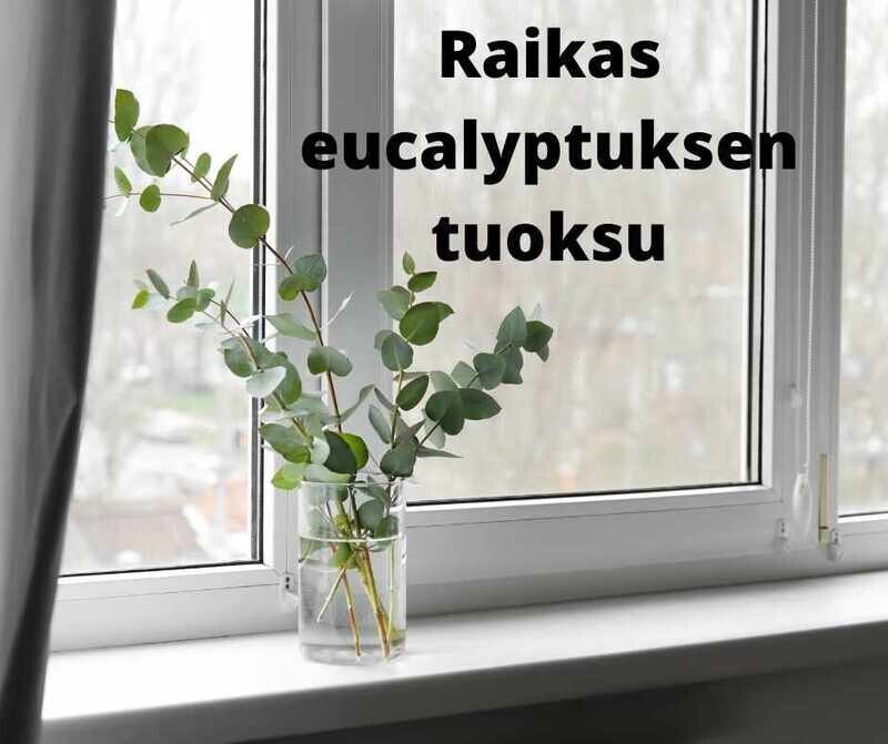 Euca pesutiiviste 450 ml