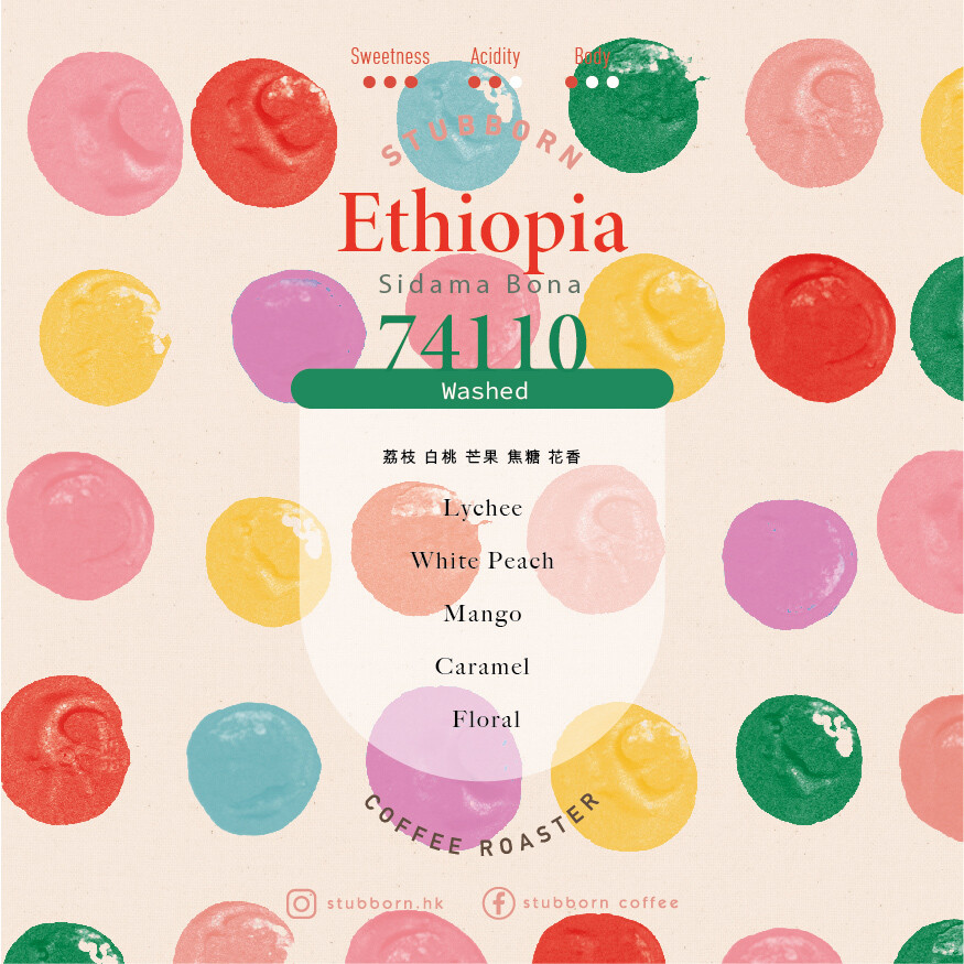 Ethiopia - Washed - Sidama Bona