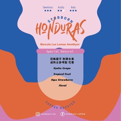 Honduras - Marcala Las Lomas Amethyst