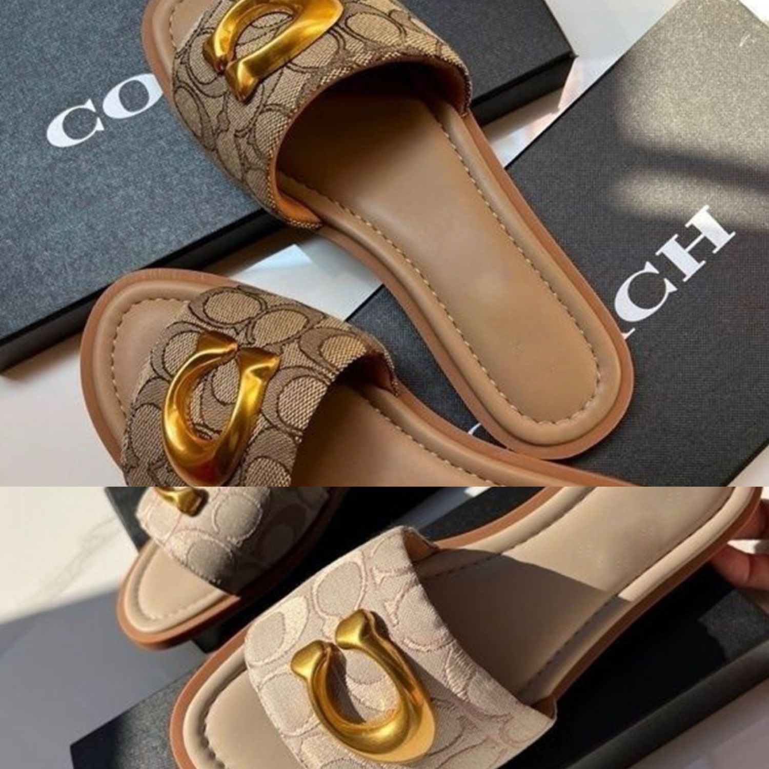 Flat bottom Exclusives