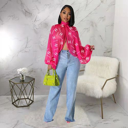 CC Mesh Blouse