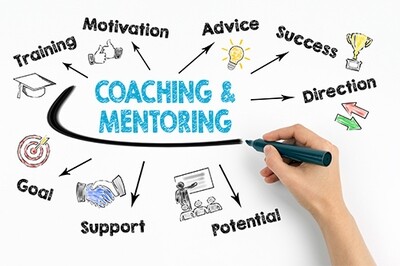 1-1 mentor training