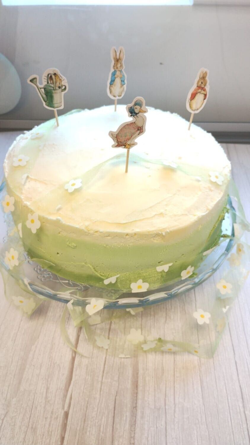 Large Cake with specific icing/decorations
