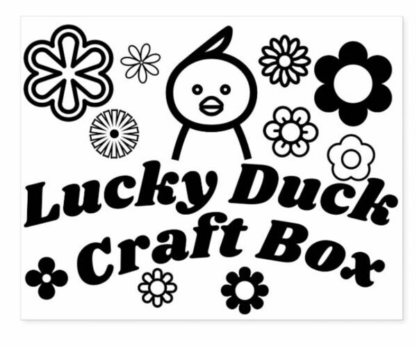 Lucky Duck Craft Box