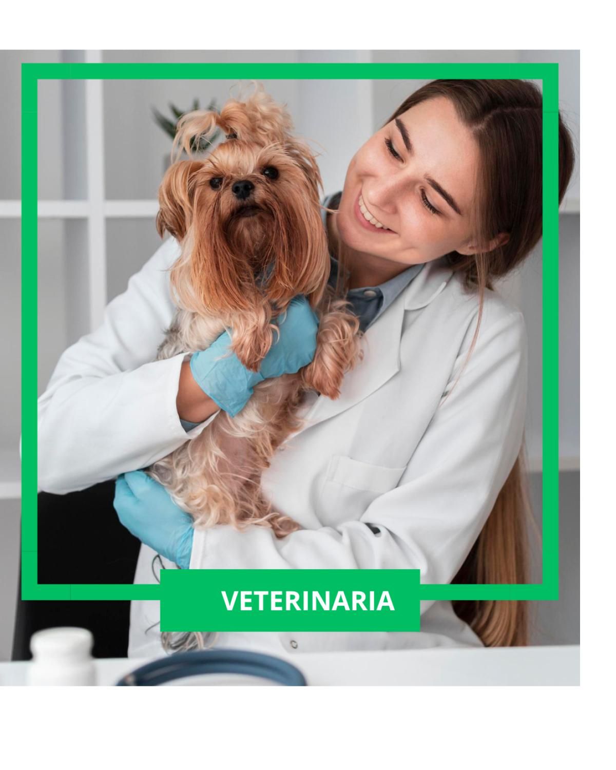 Veterinaria