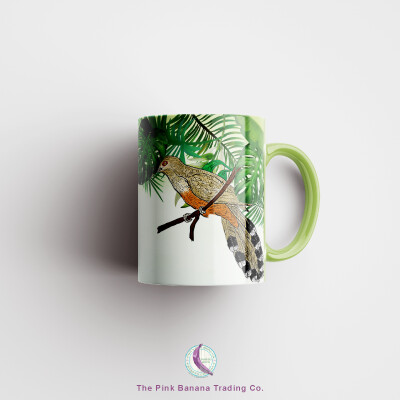 Taza Verde Claro Pájaro Bobo Mayor | Coccyzus Vieilloti Mug