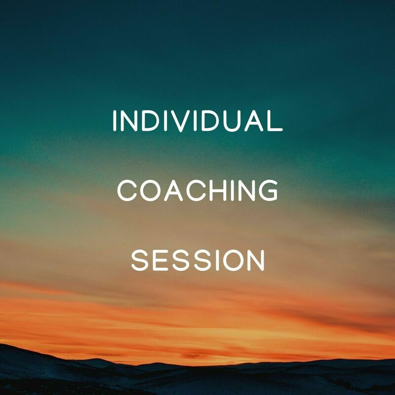 Single Coaching Session