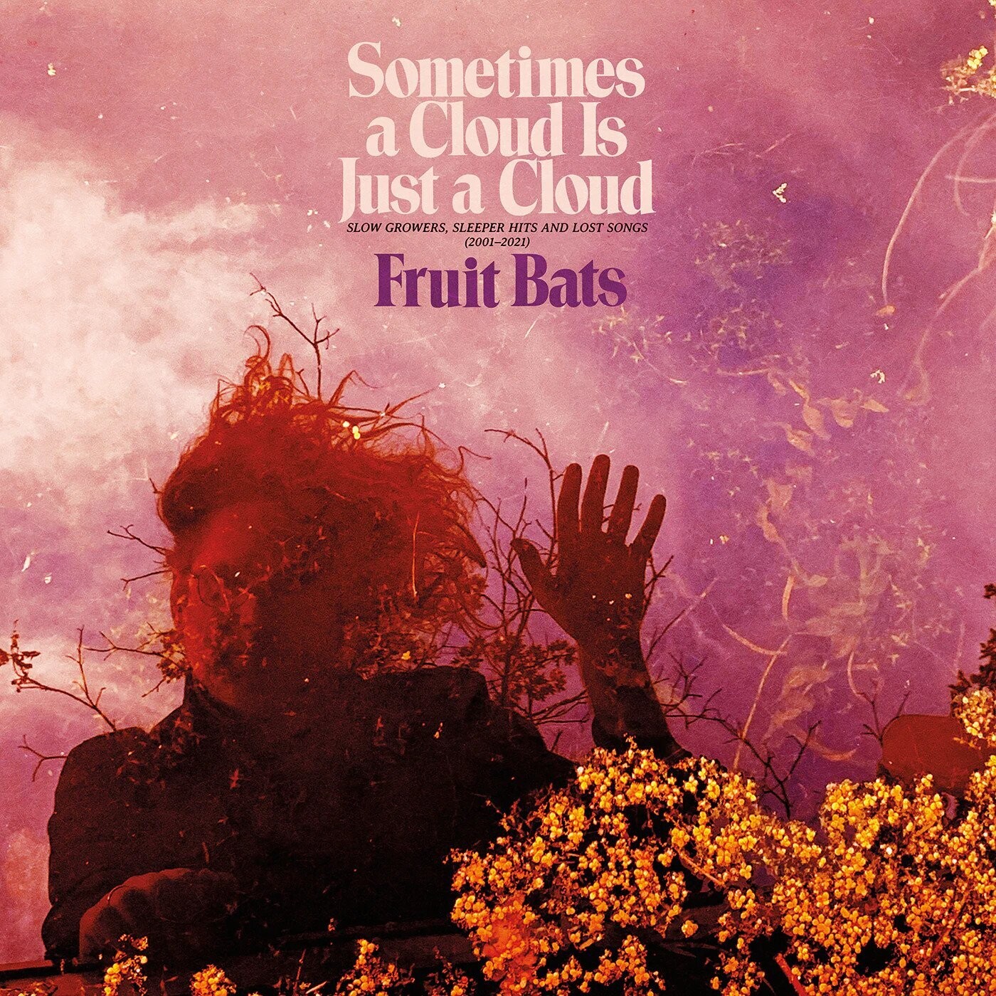 Fruit Bats - Sometimes A Cloud is Just A Cloud (color vinyl)