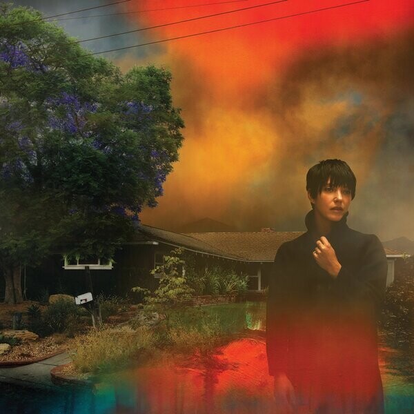 Sharon Van Etten - We've Been Going About This All Wrong (marble smoke vinyl)