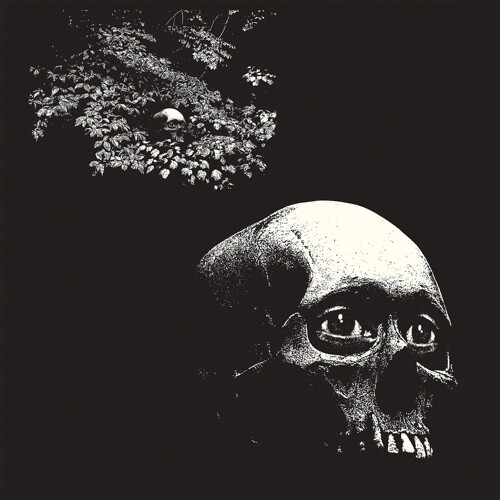 Osees - A Foul Form LP (color vinyl)