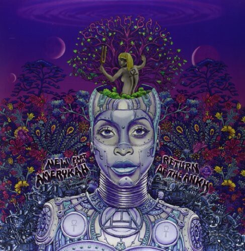 Erykah Badu - New Amerykah Part 2 LP 
